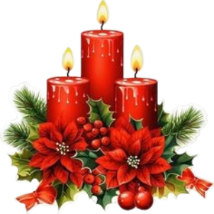 image 2024 12 09 105808111.png