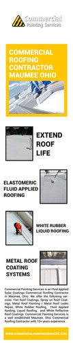 Roof Coating Painting Contractors Maumee.jpg