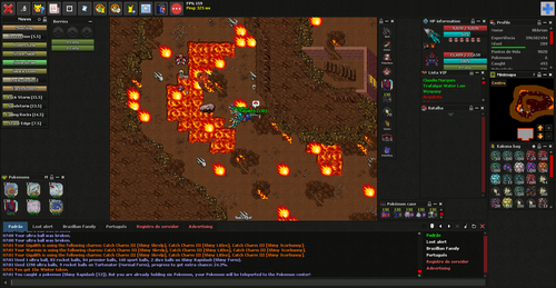 catch Shiny Rapidash 53 07 01 Wed 04 December 2024