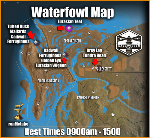 waterfowl map salzwiesen fi