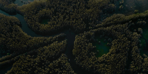 Caddo.Lake.2024.1080p.AMZN.WEB DL.CZ SK EN.DDP5.1.H.264 FLUX.mkv snapshot 00.03.14 [2024.12.09 18.41.jpg
