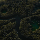 Caddo.Lake.2024.1080p.AMZN.WEB DL.CZ SK EN.DDP5.1.H.264 FLUX.mkv snapshot 00.03.14 [2024.12.09 18.41