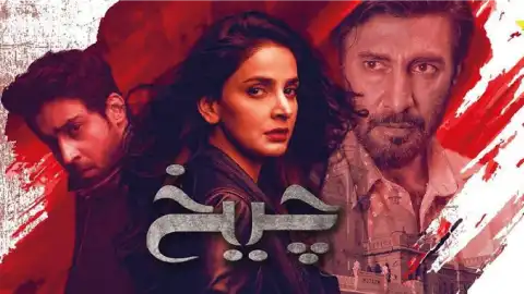 t207 cheekh card.webp