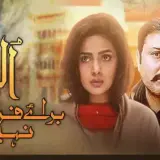 t211 ullu baraye farokht nahi card