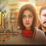 t211 ullu baraye farokht nahi