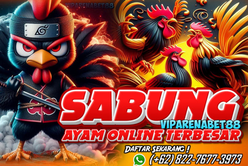 CLUB388 : DAFTAR AKUN SABUNG AYAM ONLINE TERPERCAYA 2025.jpg