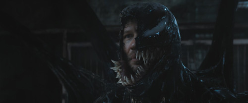Venom The Last Dance [2024].mkv 20241210 232929.337.jpg