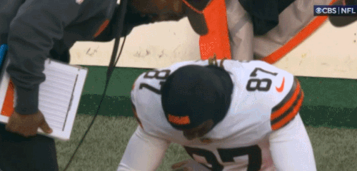 GIF 12 8 2024 3 09 36 PM.gif