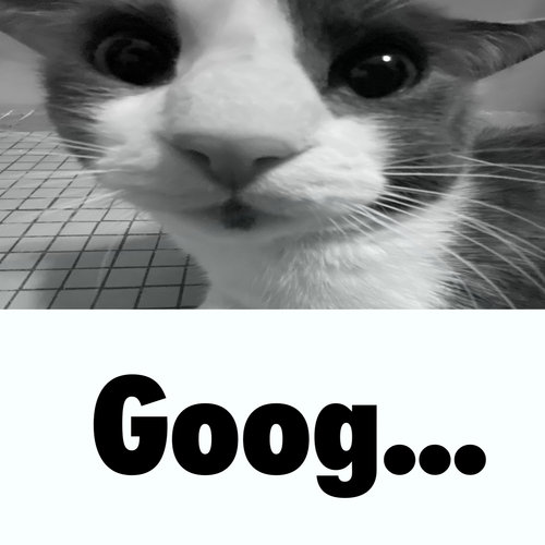 goog...png