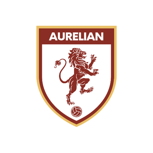 Simple Illustration Lion Soccer Badge Logo 20241221 104431 0000.png