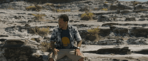 v3 296.gif