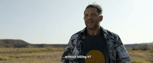 v3 305.gif