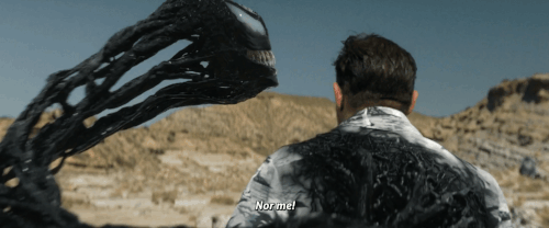 v3 288.gif