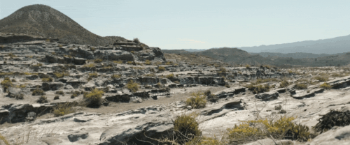 v3 289.gif