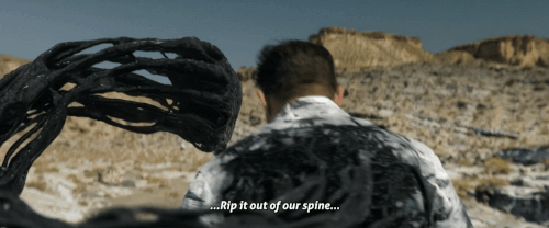 v3 282.gif