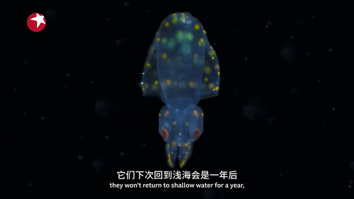 亚洲.Asia.S01E01.2024.1080p.WEB DL.H264.AAC HHWEB.mp4 20241222 174029.408.png