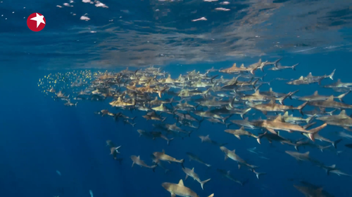 亚洲.Asia.S01E01.2024.1080p.WEB DL.H264.AAC HHWEB.mp4 20241222 174006.680.png