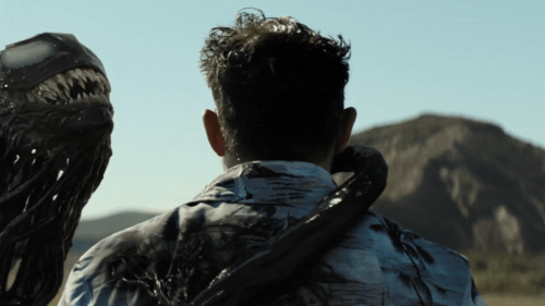 v3 263.gif