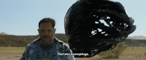 v3 221.gif