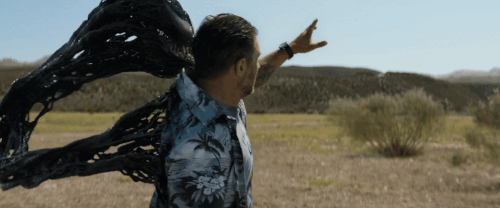 v3 239.gif