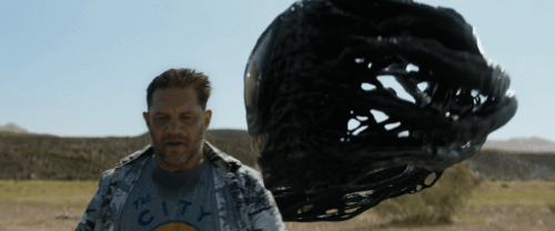 v3 243.gif