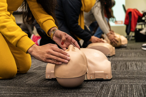 First Aid Pro Brisbane CBD

Level 7, 217 George Street Brisbane Queensland 4000 Australia
(08) 7120 2570
enquiries@firstaidpro.com.au
https://www.firstaidpro.com.au/locations/qld-17/brisbane-cbd/

First Aid Pro Brisbane delivers nationally accredited first aid and CPR training designed to equip you with essential skills for emergencies in community, workplace, family, and childcare settings. As a trusted Registered Training Organisation (RTO Code: 31124), we’ve certified over 2.6 million individuals with comprehensive, industry-leading training that combines face-to-face and online learning options.

Our streamlined and affordable courses ensure your first aid certificate stays up to date, with same-day certificates upon completion. Choose from a wide range of programs, including CPR, Basic Life Support, Emergency Response, and training tailored for childcare and workplace needs. Found a course at a lower price? We’ll instantly beat it by 10%!

Conveniently located on the corner of Queen and George Streets, First Aid Pro Brisbane offers flexible schedules to suit your needs. Visit our website for course dates, directions, parking details, and more. Get in touch today and gain the confidence to make a difference in emergencies!