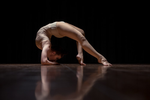 1aderyn.smugmug.com DM31216