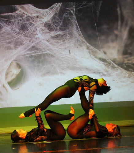 4Bsandyarena.smugmug.com.