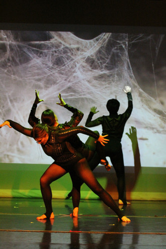 4Csandyarena.smugmug.com.