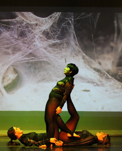 4Asandyarena.smugmug.com.