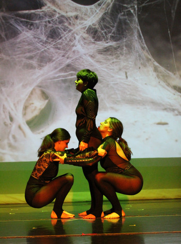 4sandyarena.smugmug.com.