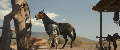 v3 325.gif