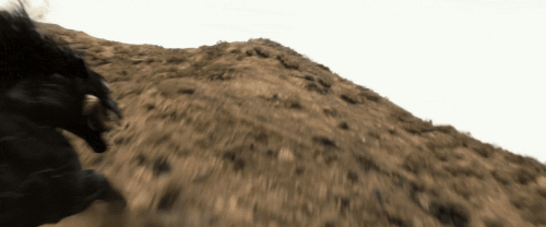 v3 333.gif