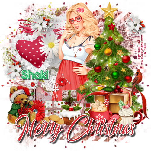 Merry Christmas.png