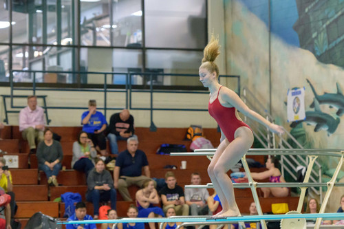 swimmeet competition242K