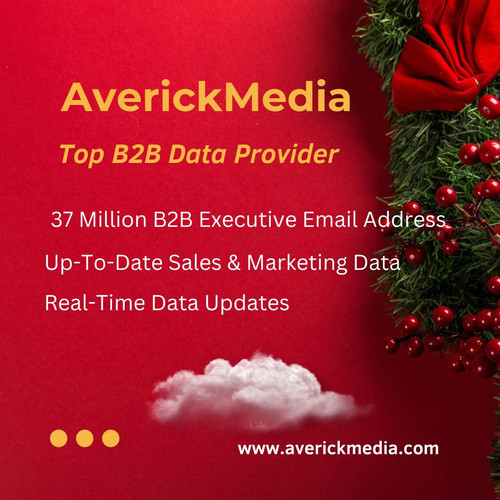 Averickmedia B2B Provider.jpg