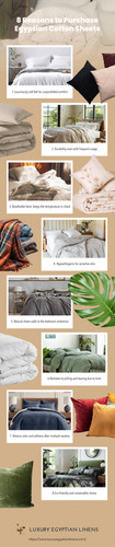 8 Reasons to Purchase Egyptian Cotton Sheets.jpg