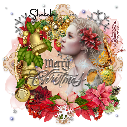 Merry Christmas ~ Shakela.png