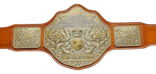 4WorldBeltItle 4.png