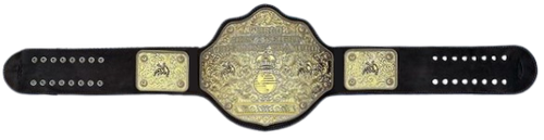WorldChampBelt 44 (1).png