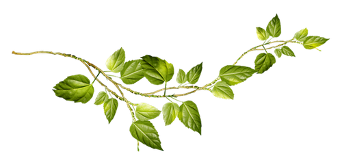 BC LovingMyValentine EL (41).png