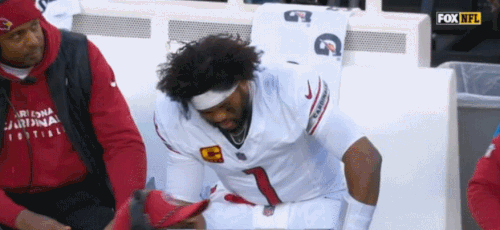 GIF 12 22 2024 2 58 30 PM.gif