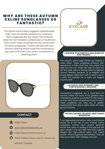 Why are these autumn Celine sunglasses so fantastic.png