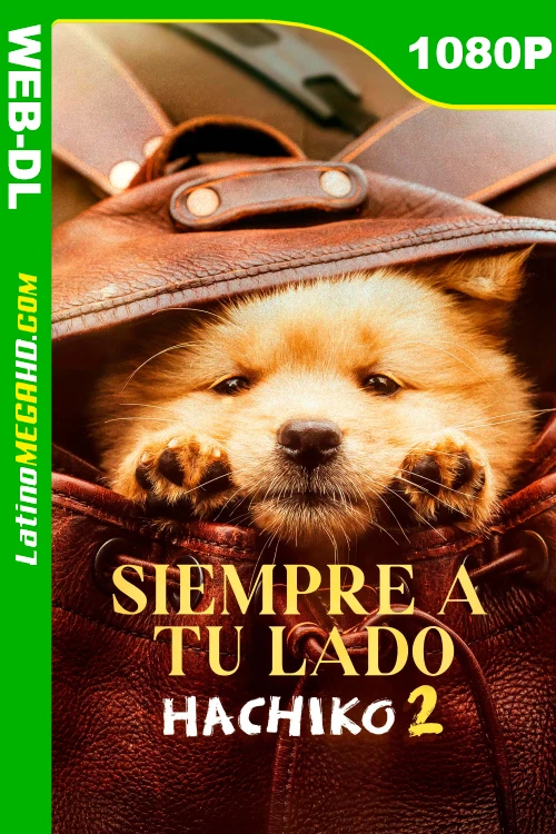 Siempre a tu lado: Hachiko 2 (2023) Latino HD WEB-DL 1080P