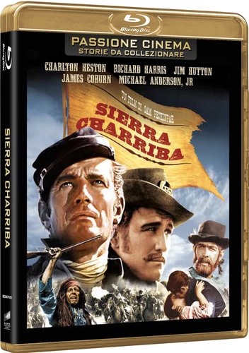 8013123047281pv (1).jpg