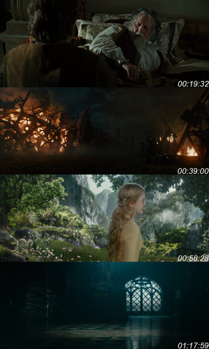 Maleficent (2014) www.EmwBD.Cfd Hindi ORG Dual Audio Movie 1080p BluRay.jpg