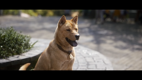 vlcsnap 2024 12 24 19h30m53s898.png