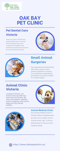 Comprehensive Animal Care Services in Victoria From Dental to Surgeries.jpg