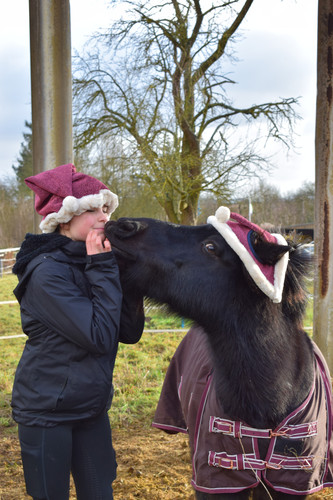 DSC 1557.jpg