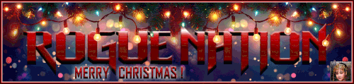 Flashy Banner.gif